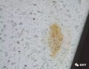 死貴死貴的櫥柜怎么選 平民價(jià)格如何兼顧顏值和質(zhì)量